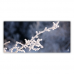 Postcard | Frozen branch